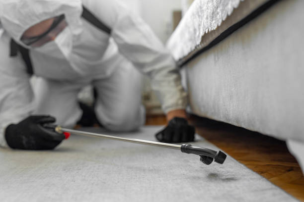 Professional Bed Bug Control technician working in Whitinsville, MA